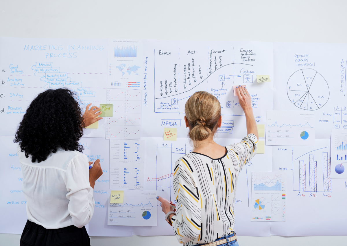 Marketing Director